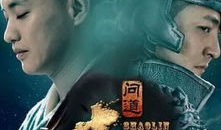 少林寺 电视剧,武林传奇，禅武合一的传奇故事