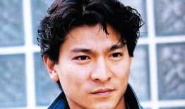 刘德华 电视剧,演绎经典电视剧的传奇人生