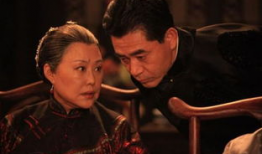 类似于大宅门的电视剧,大宅门里的家族传奇